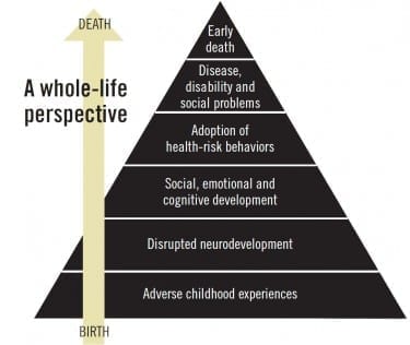 The ACEs pyramid, created by Drs. Robert Anda and Vincent Felitti, shows how childhood trauma connects to social, emotional and cognitive impairment that can lead to the adoption of health-risk behaviors. As the pyramid’s shape suggests, adverse childhood experiences don’t guarantee bad outcomes, but they greatly increase their likelihood.